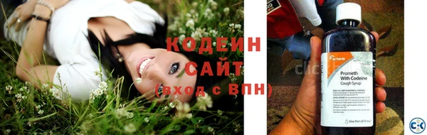 ПСИЛОЦИБИНОВЫЕ ГРИБЫ Чегем