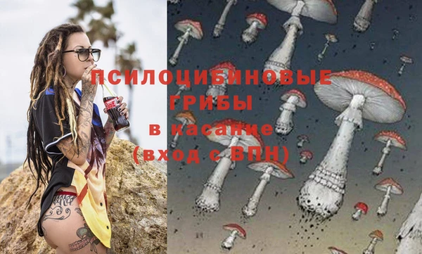 ПСИЛОЦИБИНОВЫЕ ГРИБЫ Чегем
