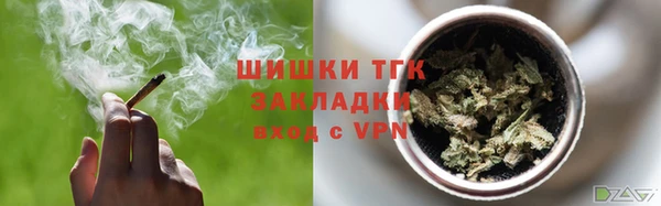ПСИЛОЦИБИНОВЫЕ ГРИБЫ Чегем