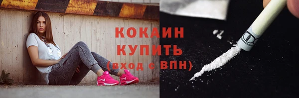 ПСИЛОЦИБИНОВЫЕ ГРИБЫ Чегем