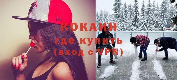 ПСИЛОЦИБИНОВЫЕ ГРИБЫ Чегем