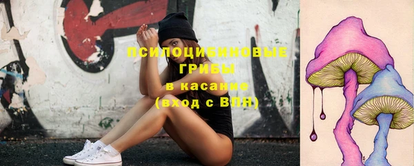 ПСИЛОЦИБИНОВЫЕ ГРИБЫ Чегем
