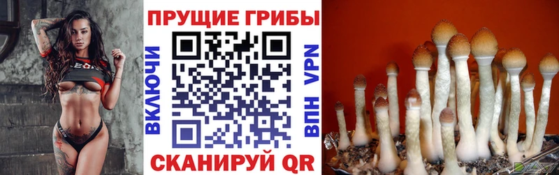 Галлюциногенные грибы GOLDEN TEACHER  Дыгулыбгей 
