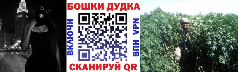 Шишки марихуана семена Дыгулыбгей